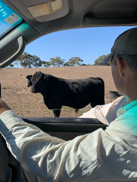 Organic Meat Adelaide