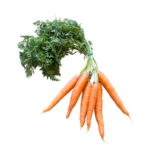 Organic Carrots Bunch