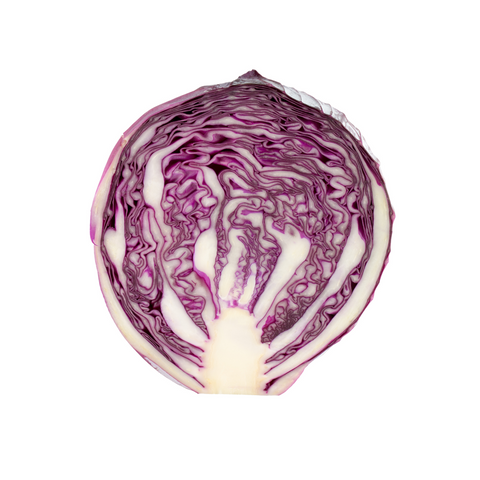 Red Cabbage whole Certified Organic each