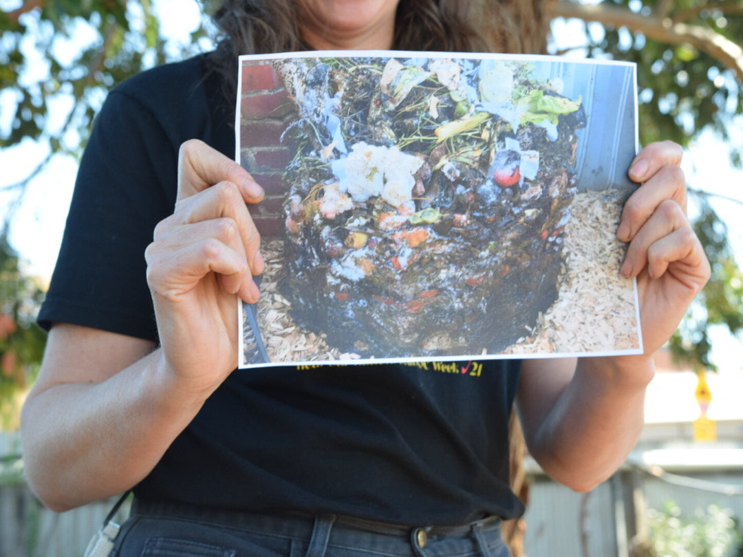 GREAT PICNIC SPOTS IN ADELAIDE The Simple Market