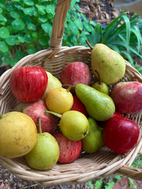 An apple a day…