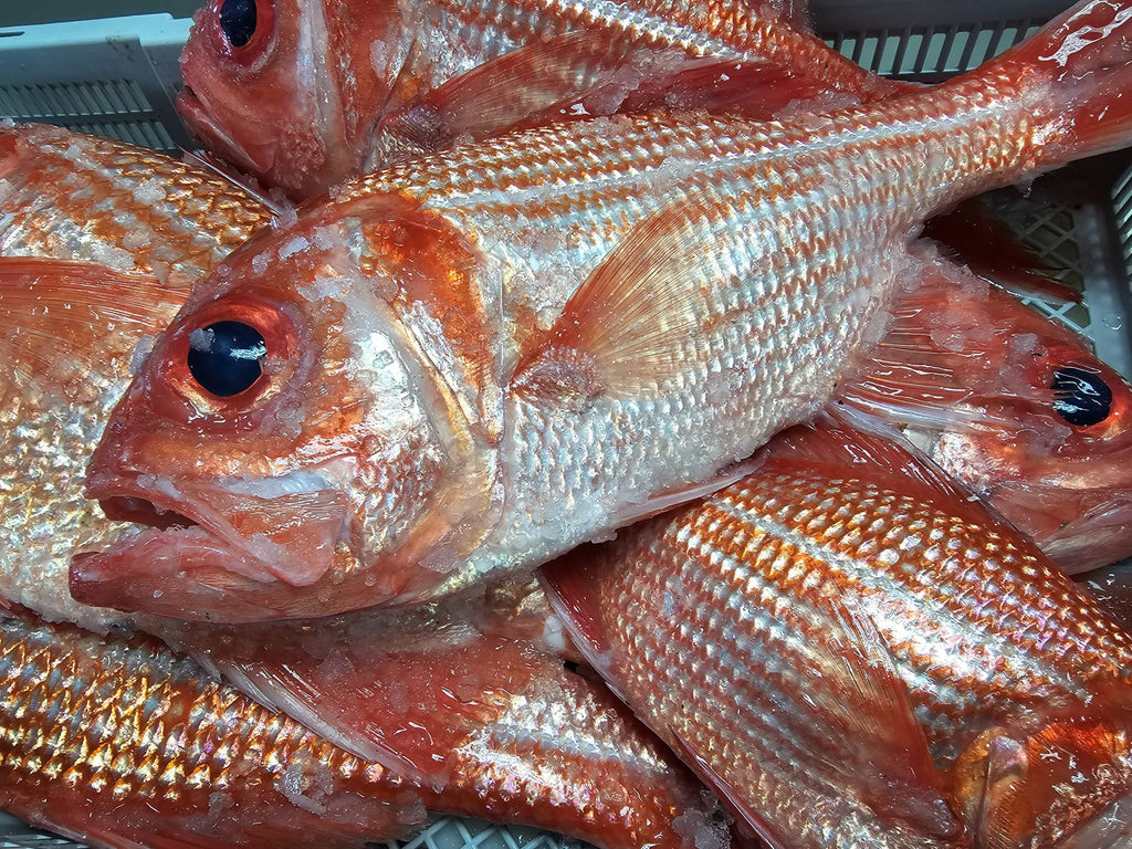 Wild Caught Fish Adelaide – The Simple Market