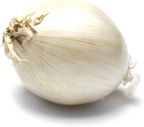 White Onion Certified Organic Kg