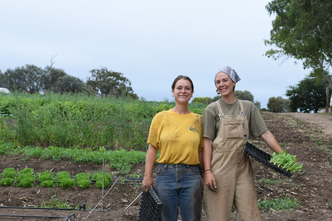 Organic Health Food Store Adelaide – The Simple Market