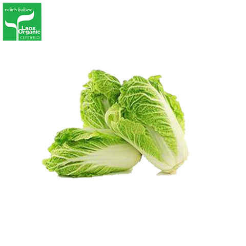 Chinese Cabbage Certified Organic Each
