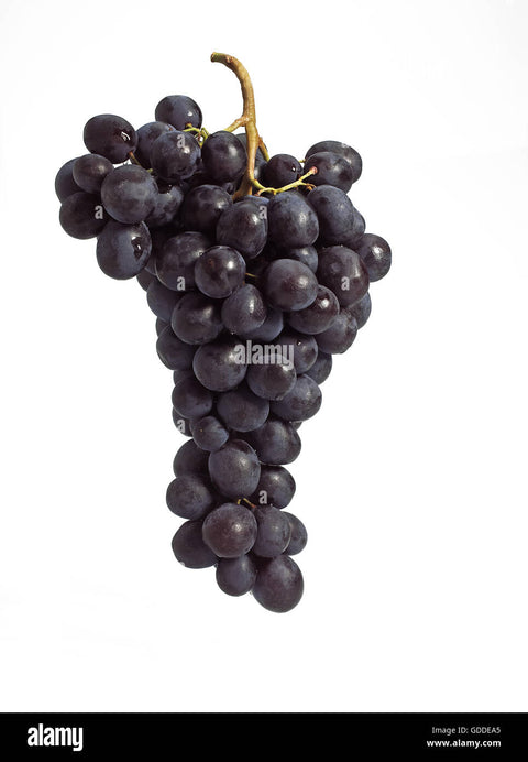 Cert. Organic Black Muscat Grapes