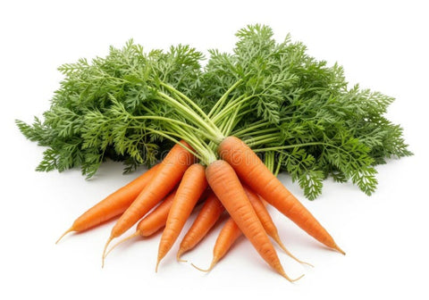Organic Carrots Bunch