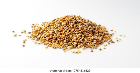 Biodynamic Gardening Seeds