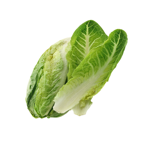 Cos Lettuce Certified Organic each