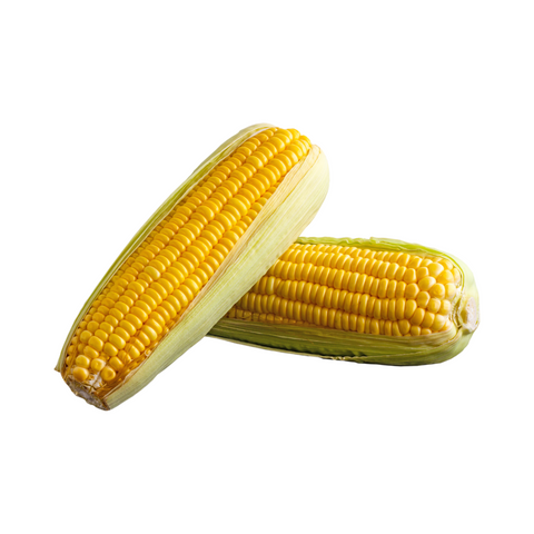 Sweet Corn Certified Organic each