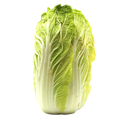 Wombok Chinese Cabbage Certified Organic Each