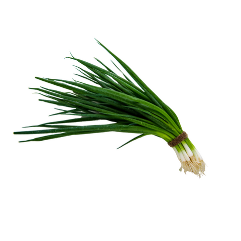 Spring Onion Certified Organic bunch