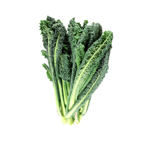 Tuscan Kale Certified Organic bunch